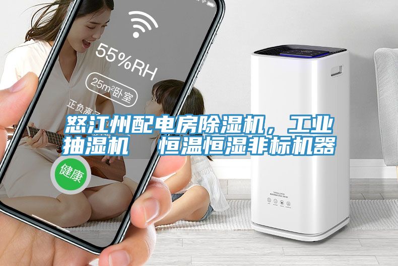 怒江州配電房除濕機，工業(yè)抽濕機  恒溫恒濕非標機器