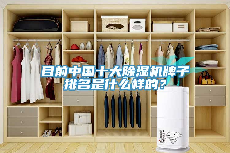 目前中國十大除濕機(jī)牌子排名是什么樣的？