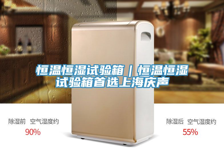 恒溫恒濕試驗(yàn)箱｜恒溫恒濕試驗(yàn)箱首選上海慶聲