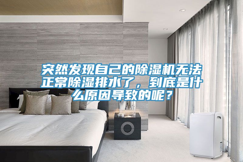 突然發(fā)現(xiàn)自己的除濕機(jī)無(wú)法正常除濕排水了，到底是什么原因?qū)е碌哪兀?></div>
								<div   id=