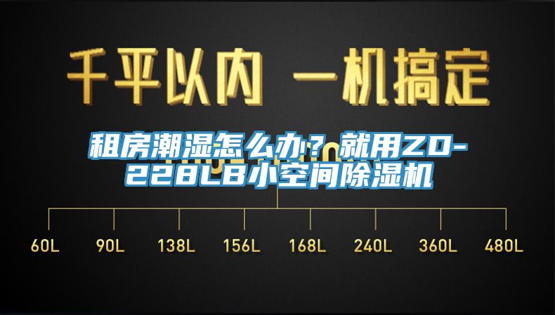 租房潮濕怎么辦？就用ZD-228LB小空間除濕機(jī)