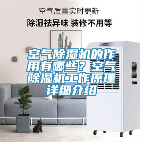 空氣除濕機(jī)的作用有哪些？空氣除濕機(jī)工作原理詳細(xì)介紹