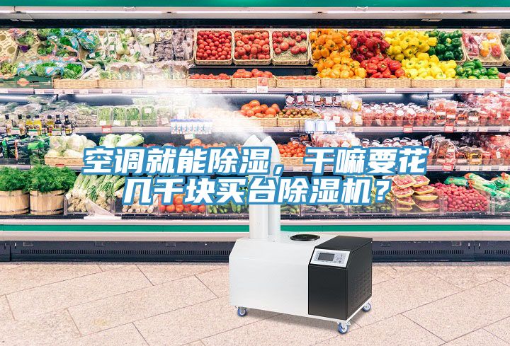 空調(diào)就能除濕，干嘛要花幾千塊買(mǎi)臺(tái)除濕機(jī)？