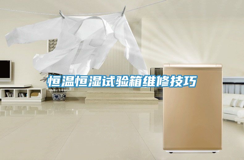恒溫恒濕試驗(yàn)箱維修技巧