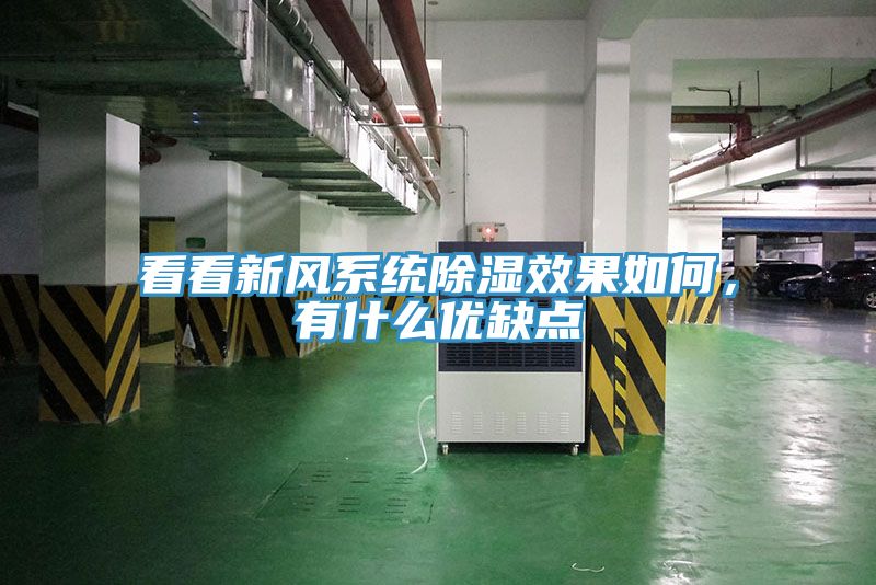 看看新風(fēng)系統(tǒng)除濕效果如何，有什么優(yōu)缺點(diǎn)