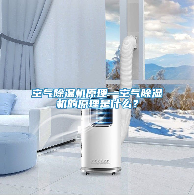 空氣除濕機(jī)原理—空氣除濕機(jī)的原理是什么？