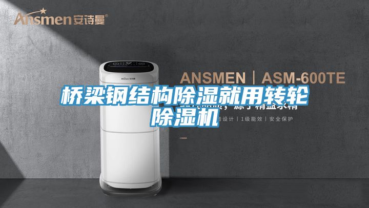橋梁鋼結構除濕就用轉(zhuǎn)輪除濕機