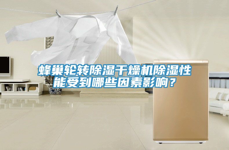 蜂巢輪轉(zhuǎn)除濕干燥機除濕性能受到哪些因素影響？
