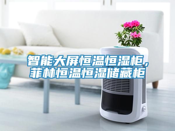 智能大屏恒溫恒濕柜，菲林恒溫恒濕儲藏柜