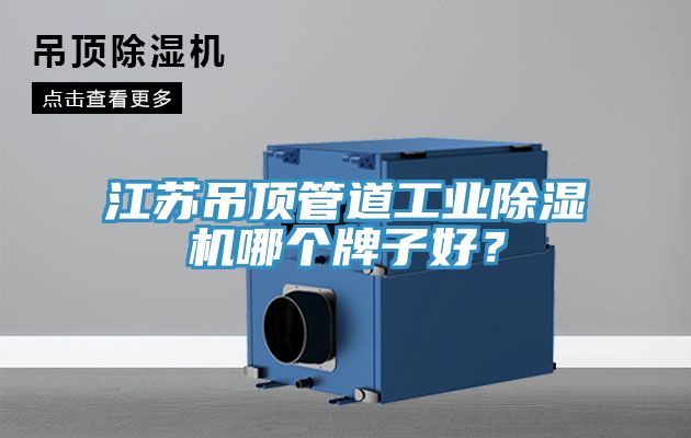 江蘇吊頂管道工業(yè)除濕機哪個牌子好？