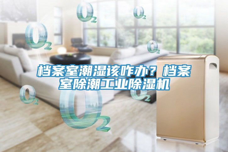 檔案室潮濕該咋辦？檔案室除潮工業(yè)除濕機
