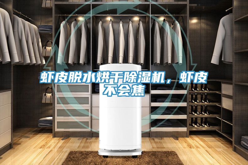 蝦皮脫水烘干除濕機，蝦皮不會焦