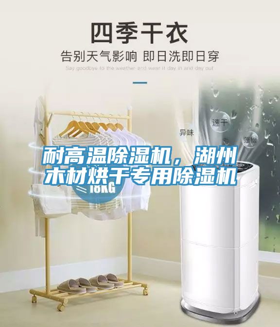 耐高溫除濕機(jī)，湖州木材烘干專用除濕機(jī)