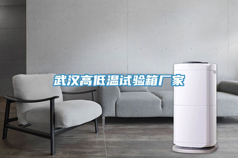 武漢高低溫試驗(yàn)箱廠家