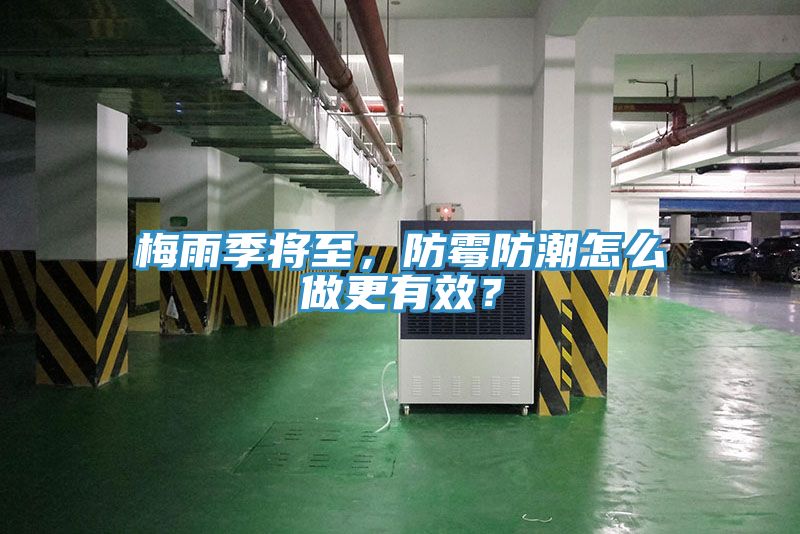 梅雨季將至，防霉防潮怎么做更有效？