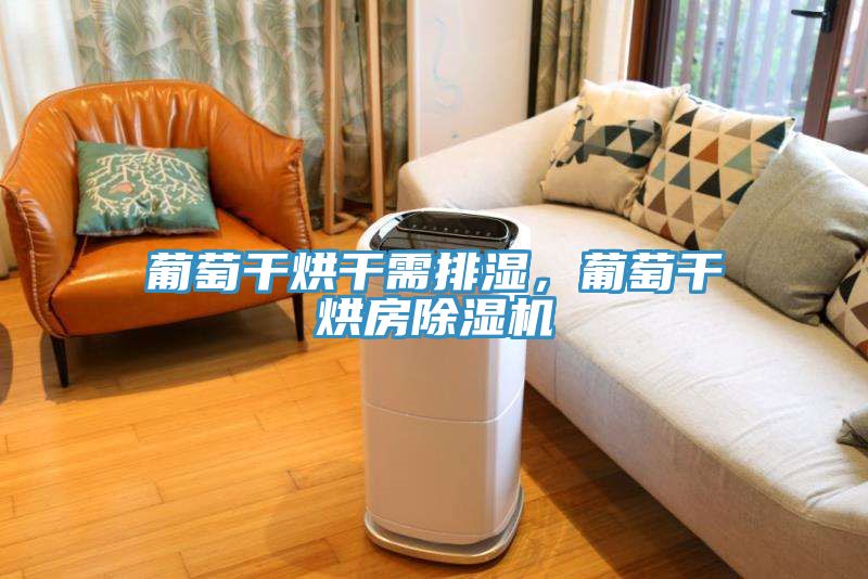 葡萄干烘干需排濕，葡萄干烘房除濕機