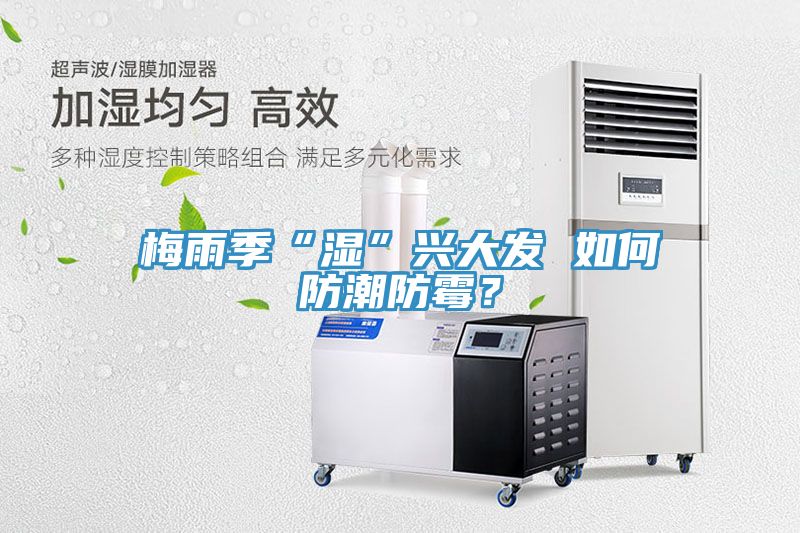 梅雨季“濕”興大發(fā) 如何防潮防霉？