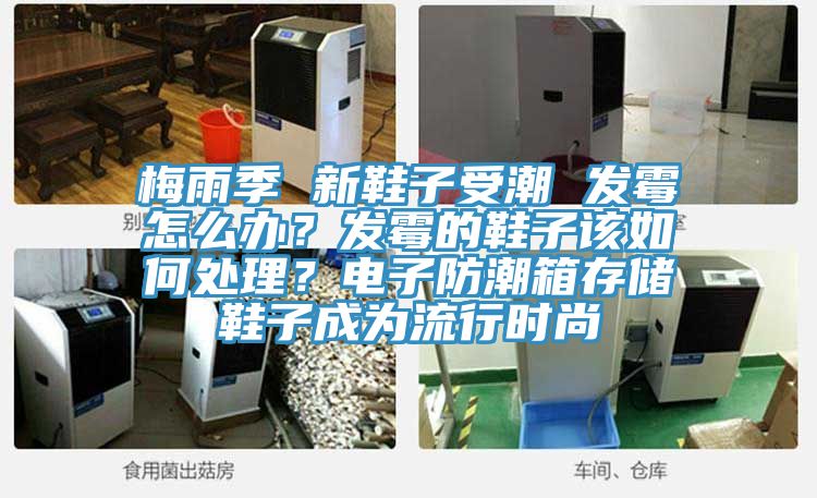 梅雨季 新鞋子受潮 發(fā)霉怎么辦？發(fā)霉的鞋子該如何處理？電子防潮箱存儲鞋子成為流行時尚