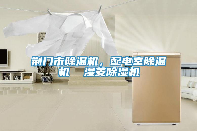 荊門市除濕機(jī)，配電室除濕機(jī)  濕菱除濕機(jī)