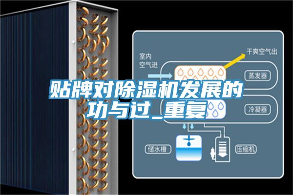 貼牌對(duì)除濕機(jī)發(fā)展的功與過_重復(fù)