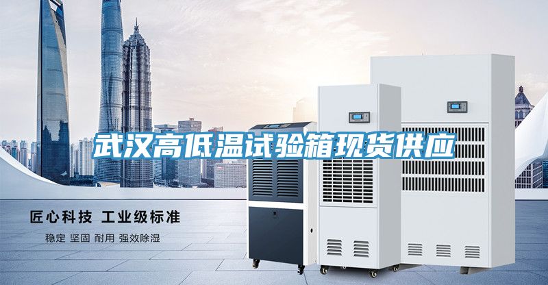 武漢高低溫試驗(yàn)箱現(xiàn)貨供應(yīng)