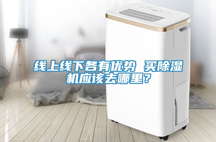 線上線下各有優(yōu)勢 買除濕機應(yīng)該去哪里？