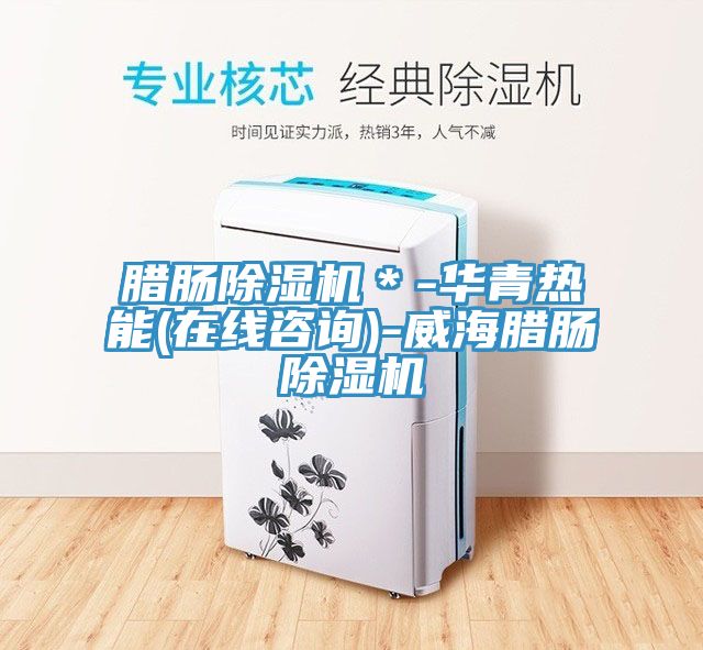 臘腸除濕機(jī)＊-華青熱能(在線咨詢)-威海臘腸除濕機(jī)