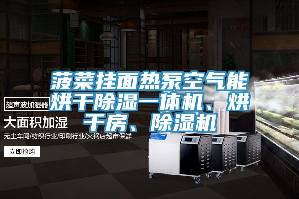 菠菜掛面熱泵空氣能烘干除濕一體機(jī)、烘干房、除濕機(jī)