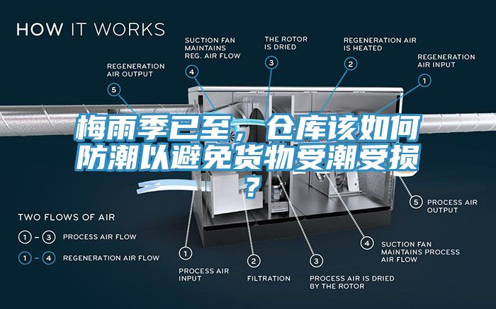梅雨季已至，倉庫該如何防潮以避免貨物受潮受損？