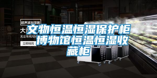 文物恒溫恒濕保護(hù)柜 博物館恒溫恒濕收藏柜