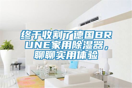 終于收割了德國BRUNE家用除濕器，聊聊實用體驗