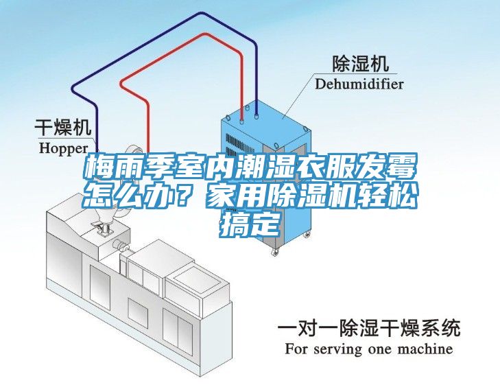 梅雨季室內(nèi)潮濕衣服發(fā)霉怎么辦？家用除濕機(jī)輕松搞定