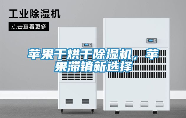 蘋果干烘干除濕機(jī)，蘋果滯銷新選擇