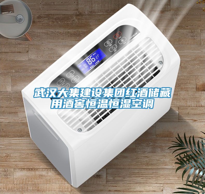 武漢大集建設(shè)集團紅酒儲藏用酒窖恒溫恒濕空調(diào)