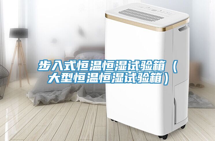 步入式恒溫恒濕試驗箱（大型恒溫恒濕試驗箱）