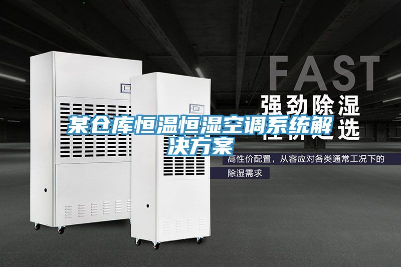 某倉庫恒溫恒濕空調系統(tǒng)解決方案