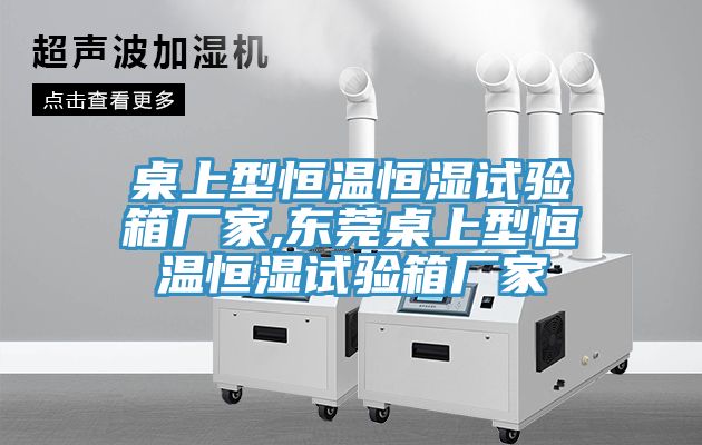 桌上型恒溫恒濕試驗(yàn)箱廠家,東莞桌上型恒溫恒濕試驗(yàn)箱廠家