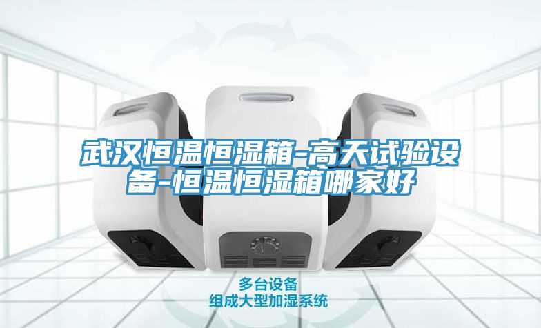 武漢恒溫恒濕箱-高天試驗設(shè)備-恒溫恒濕箱哪家好