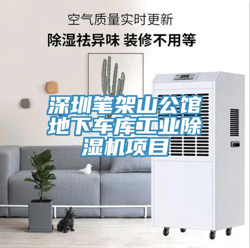 深圳筆架山公館地下車庫工業(yè)除濕機項目