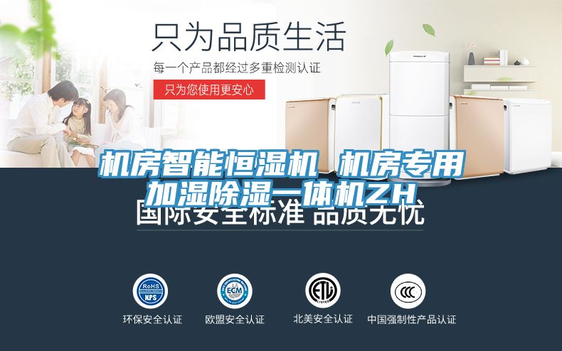 機(jī)房智能恒濕機(jī) 機(jī)房專(zhuān)用加濕除濕一體機(jī)ZH