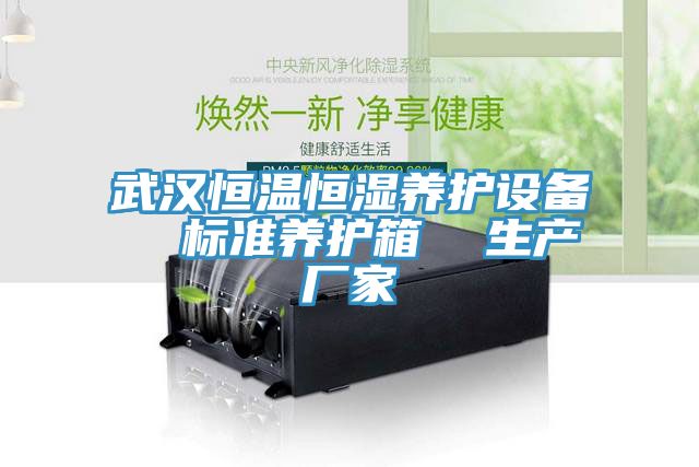 武漢恒溫恒濕養(yǎng)護設(shè)備  標準養(yǎng)護箱  生產(chǎn)廠家