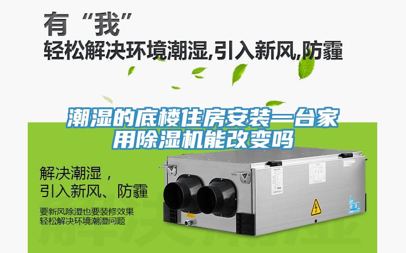 潮濕的底樓住房安裝一臺家用除濕機能改變嗎