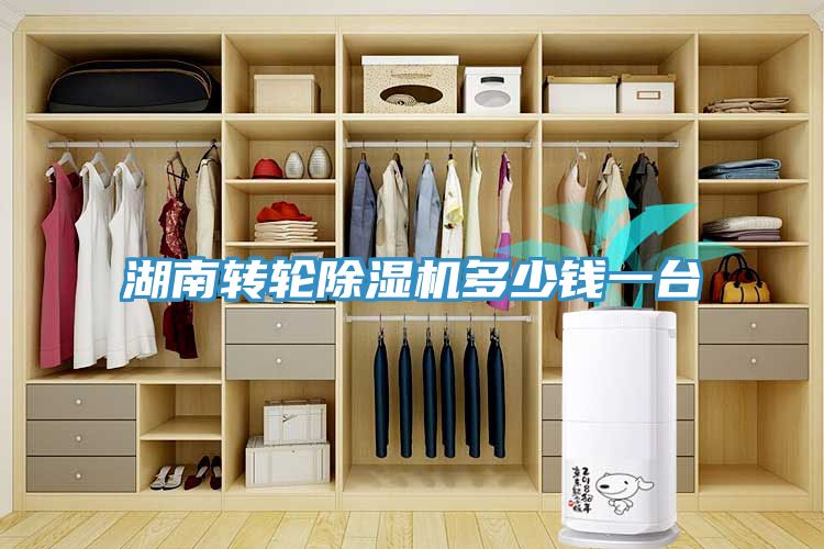 湖南轉輪除濕機多少錢一臺