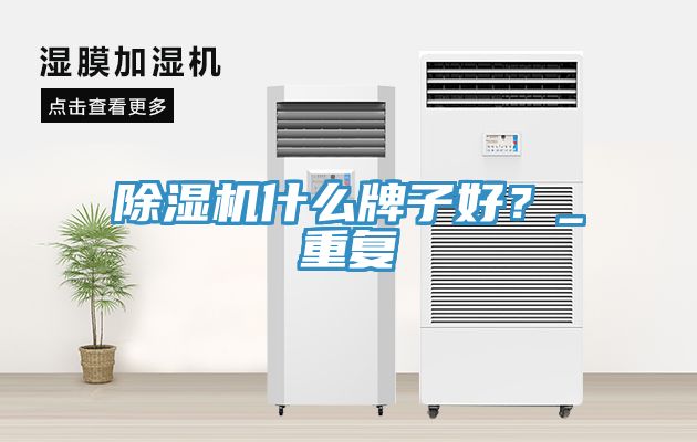 除濕機什么牌子好？_重復