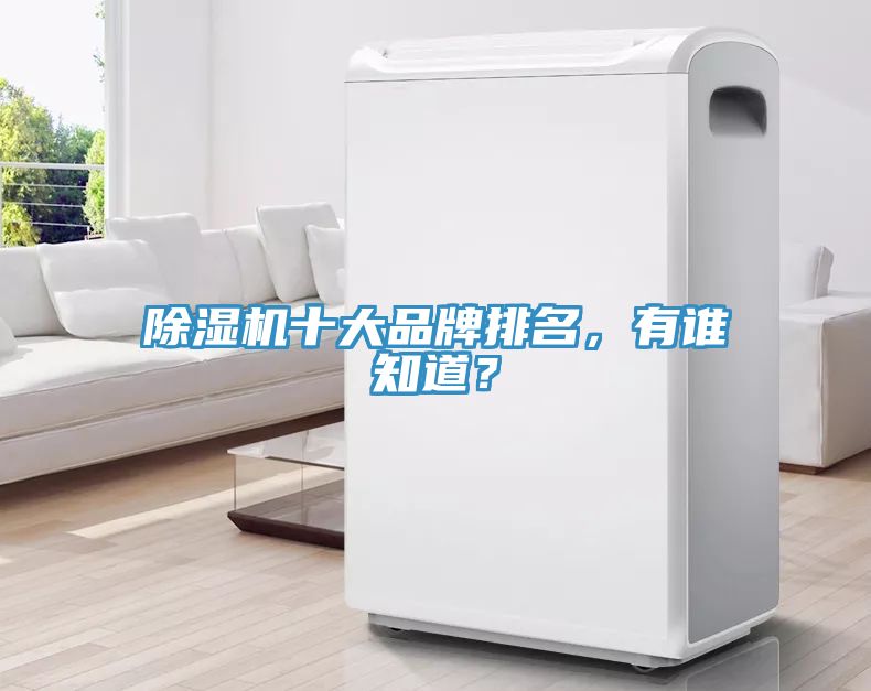 除濕機(jī)十大品牌排名，有誰(shuí)知道？