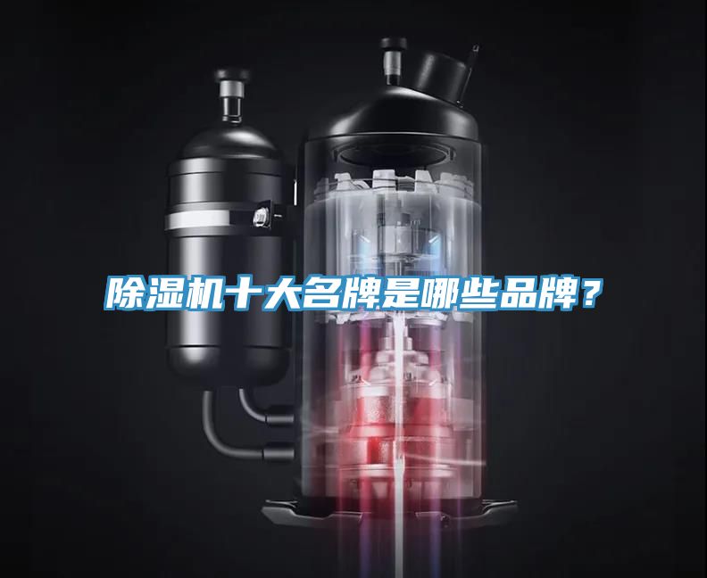 除濕機(jī)十大名牌是哪些品牌？