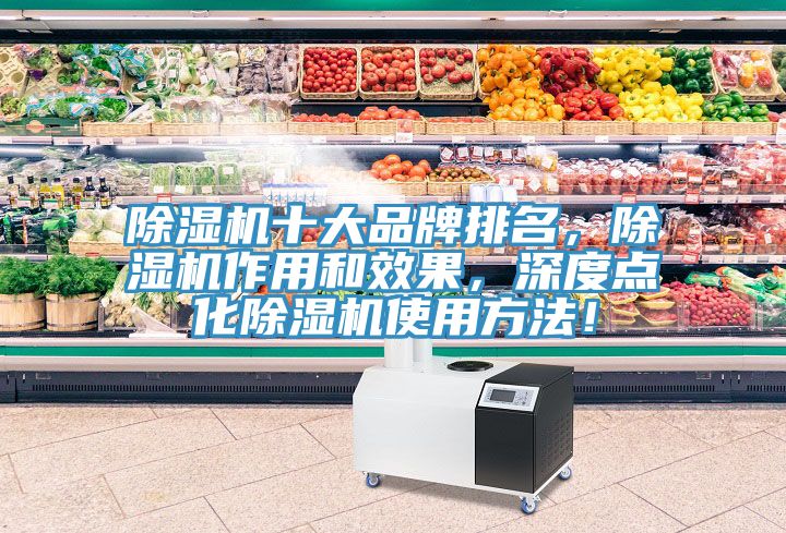 除濕機(jī)十大品牌排名，除濕機(jī)作用和效果，深度點(diǎn)化除濕機(jī)使用方法！
