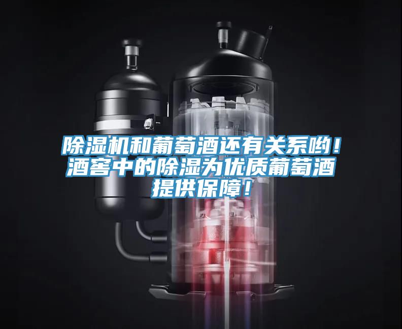 除濕機和葡萄酒還有關系喲！酒窖中的除濕為優(yōu)質(zhì)葡萄酒提供保障！