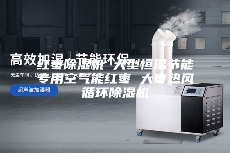 紅棗除濕機 大型恒溫節(jié)能專用空氣能紅棗 大棗熱風(fēng)循環(huán)除濕機