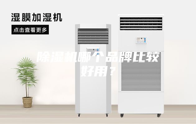 除濕機(jī)哪個(gè)品牌比較好用？